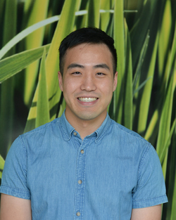 Doctor Team - Dr David Lim Doctor Team - Dr David Lim